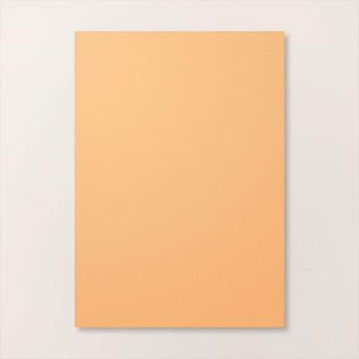 Farbkarton A4 Pfirsich-Creme<br>163800 Farbkarton A4 Pfirsich-Creme